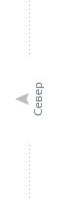 направление сторон света направление сторон света